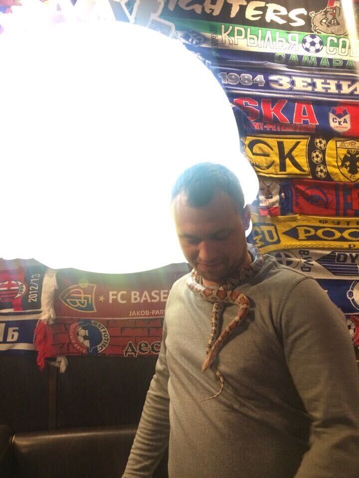  26241787  , 39 ,    -