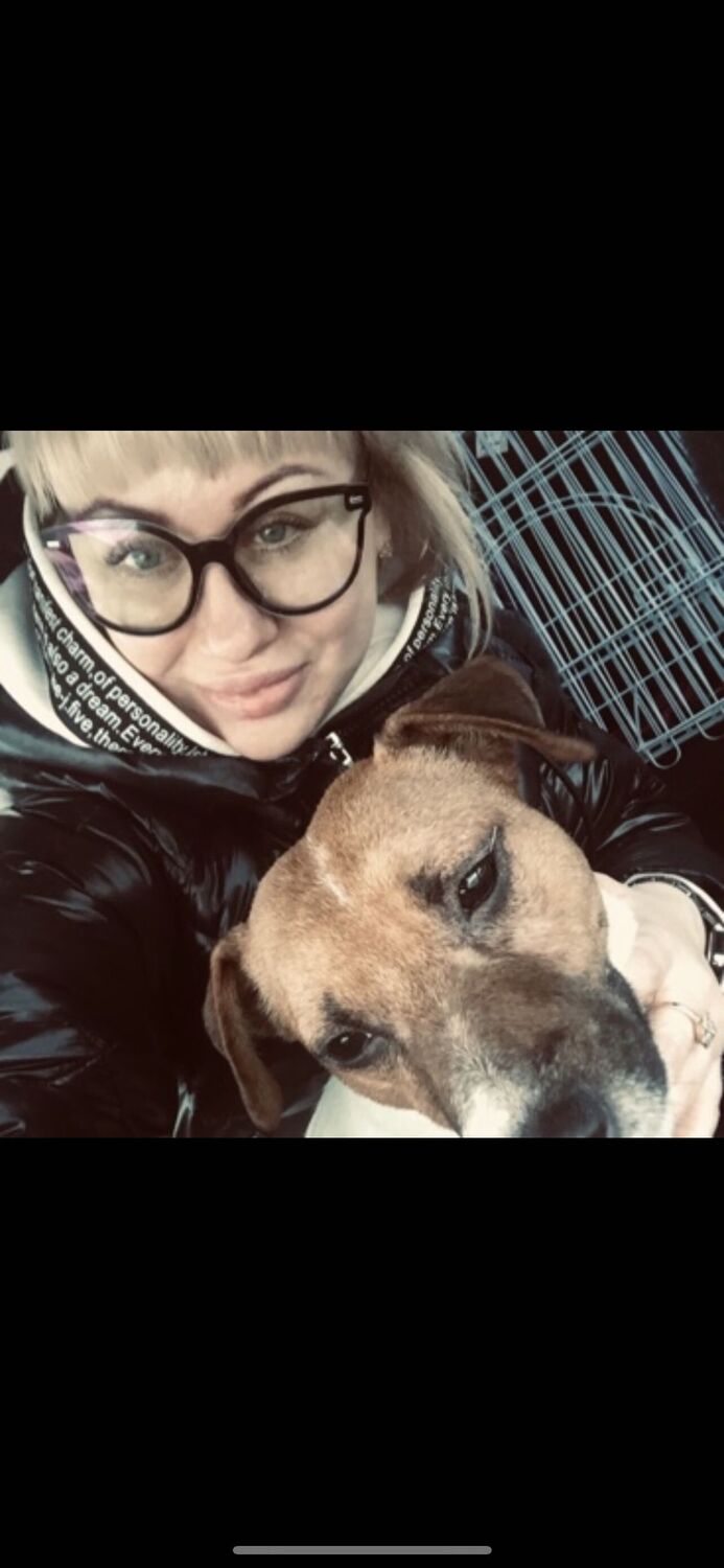  53128247  , 38 ,    -