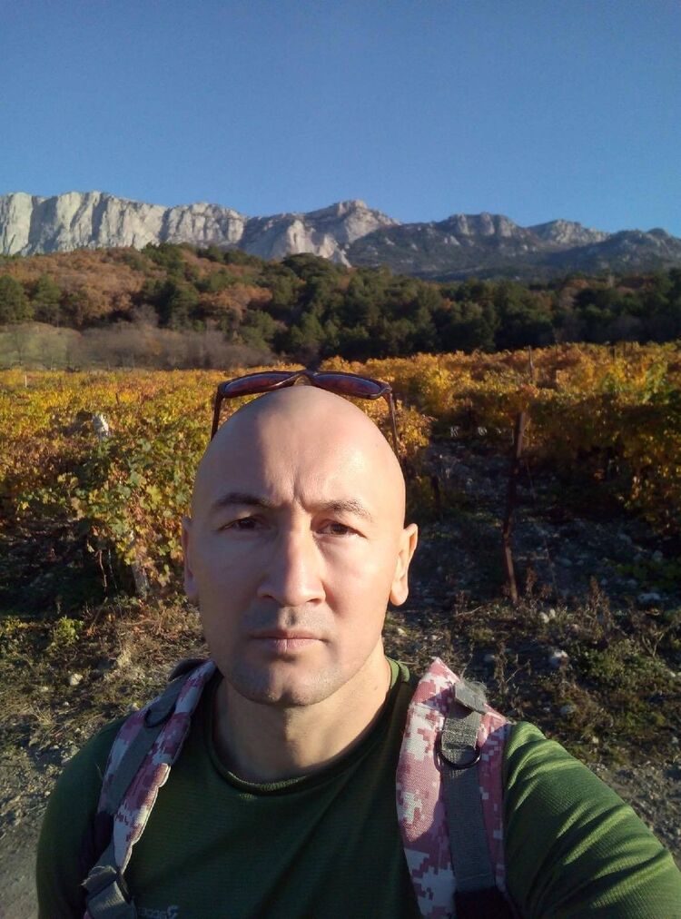 ���� 33604567 ������� ������, 44 ����, ���� ���������� � ��������