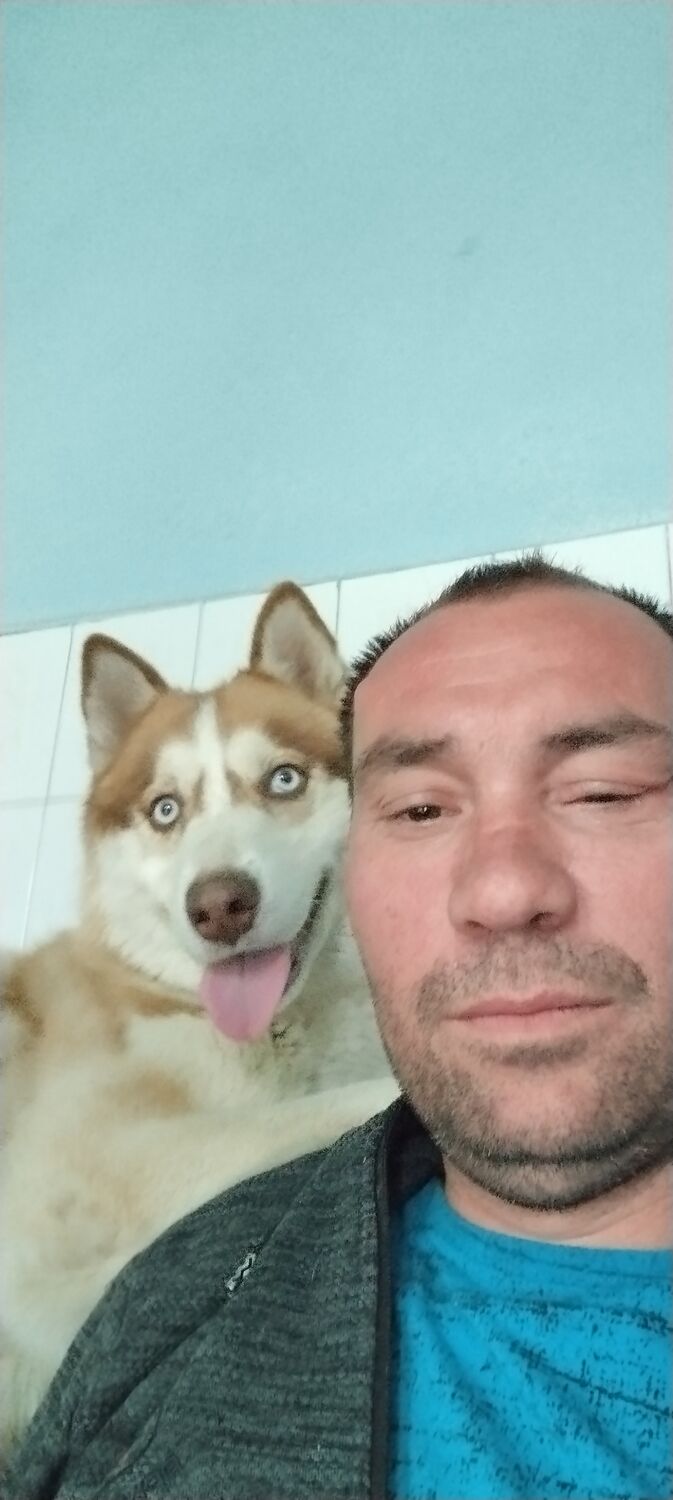  ,   Nij, 44 ,   ,   