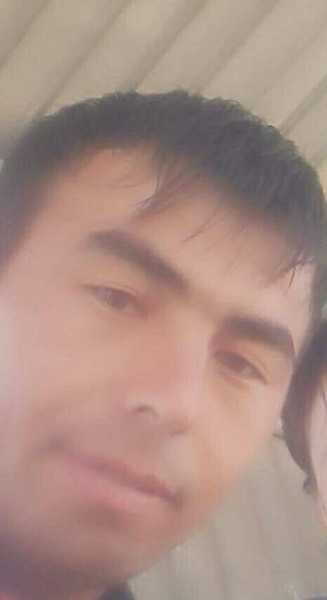  20338007  , 38 ,    