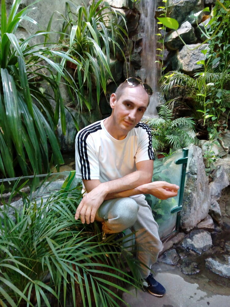 ���������� ������, ���� ������� ������, 50 ���, ������������ ��� ������