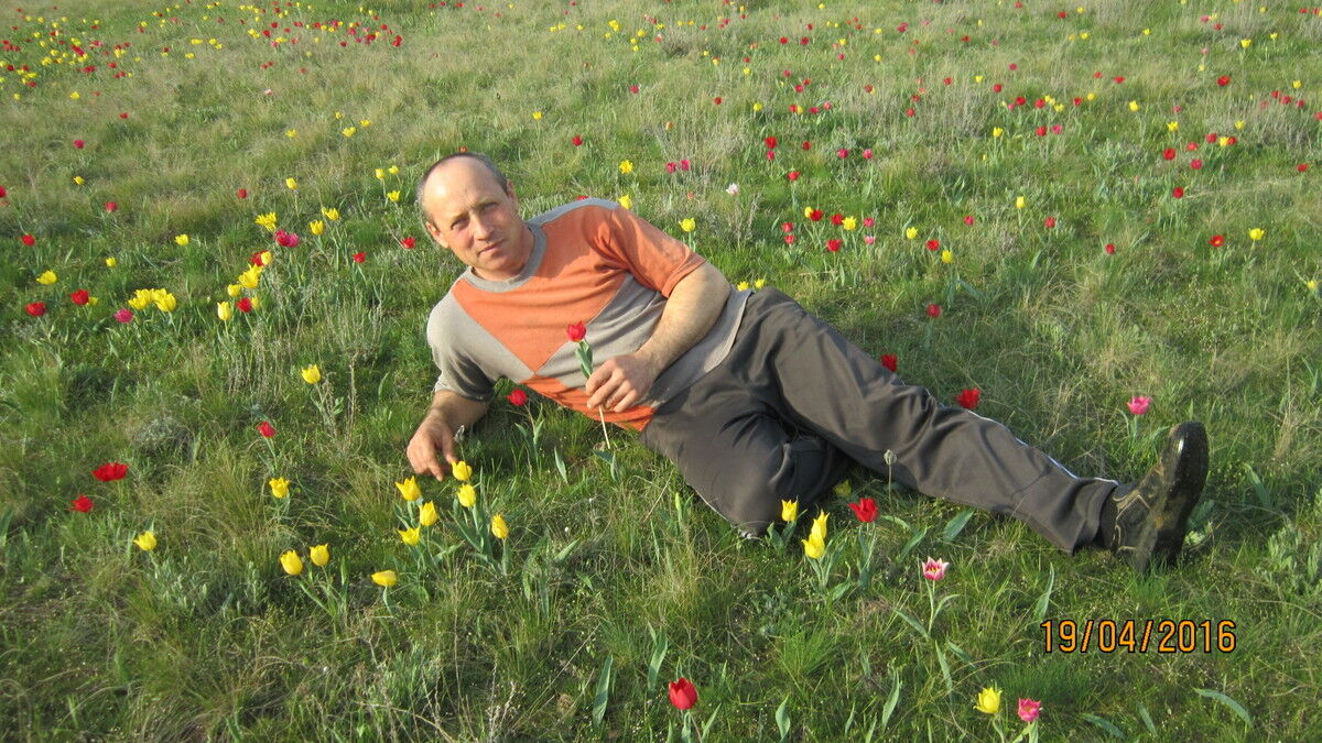 ���� 11643647 ������� ��������, 55 ���, ���� ���������� � ����������