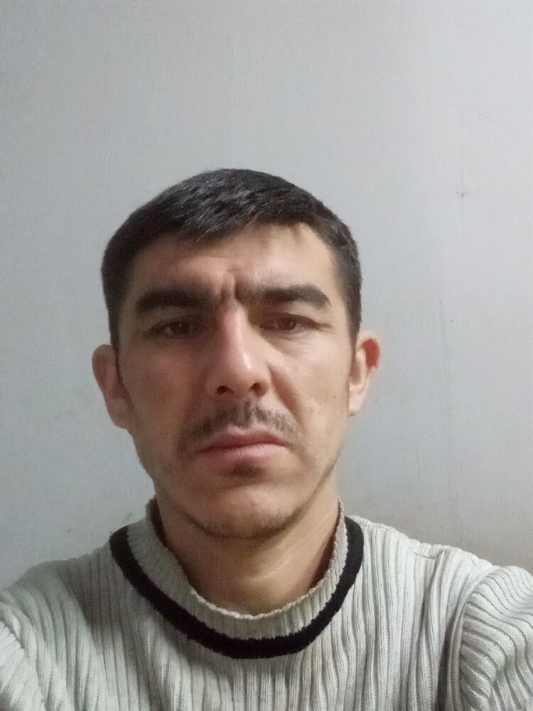  38736177  , 40 ,    