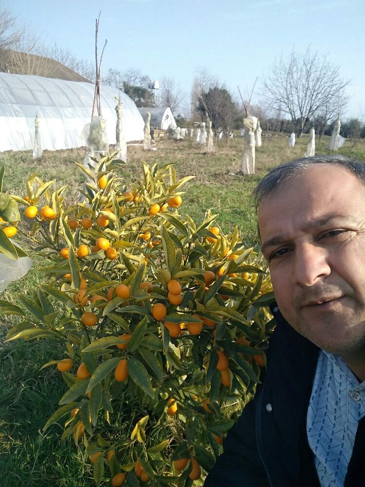  ,   , 45 ,   ,   