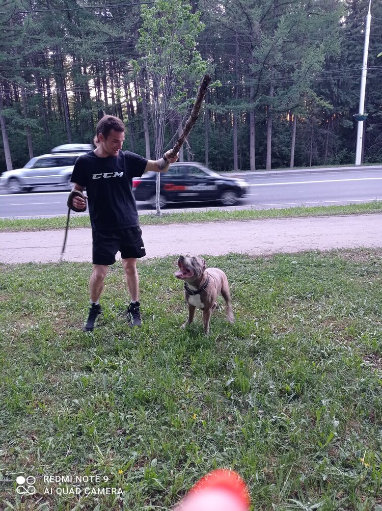 ���� 55465477 ������� ����, 38 ���, ���� ���������� � ���