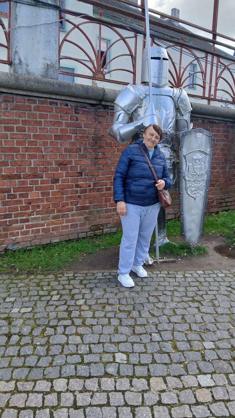 ���������� ������, ���� ������� ���������, 65 ���, ������������ ��� c�������� ���������, ���������