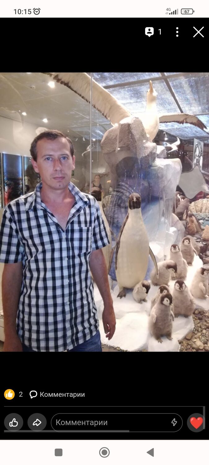 ���� 33315287 ������� �����, 42 ����, ���� ���������� � ������