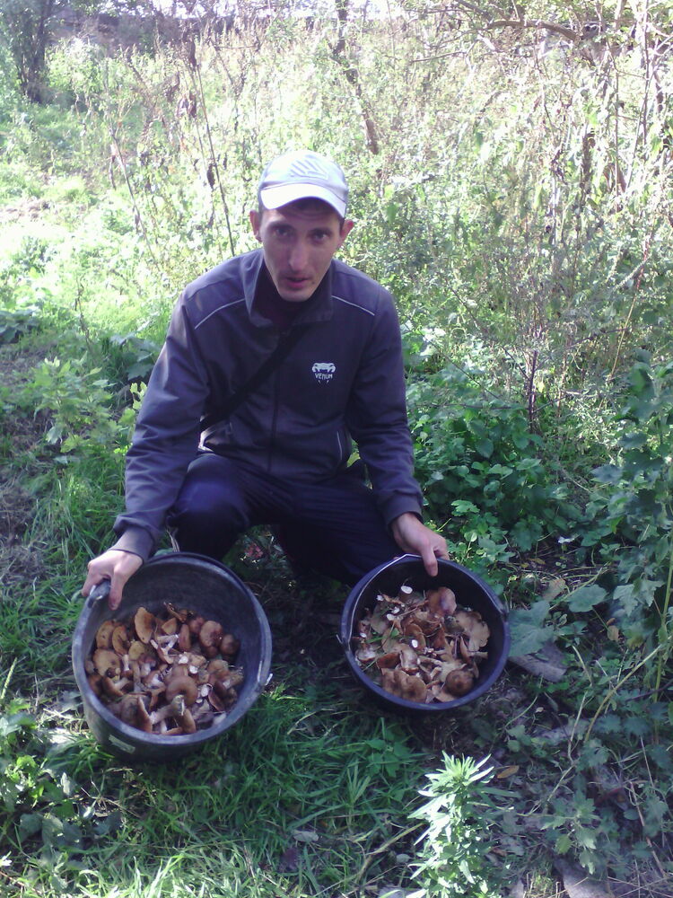 ���� 30964267 ������� ������, 35 ���, ���� ���������� � �������-��-����