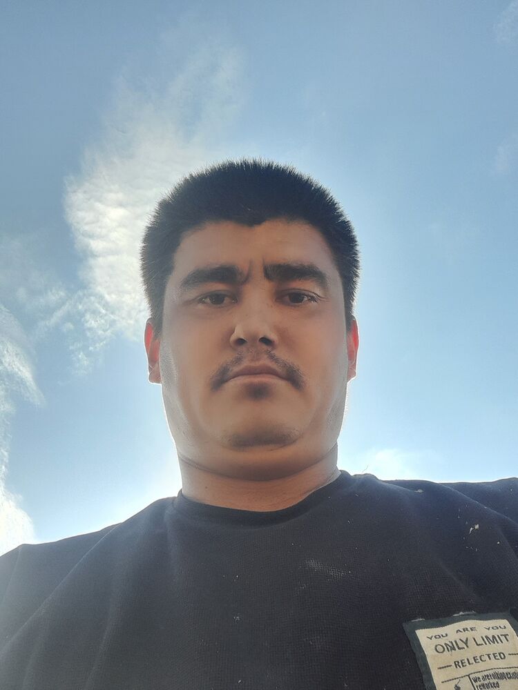  45613457  , 31 ,    