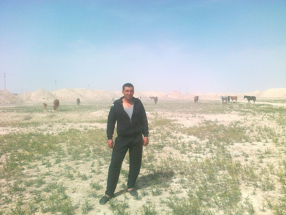 ���������� �����, ���� ������� Arteom, 42 ����, ������������ ��� ������