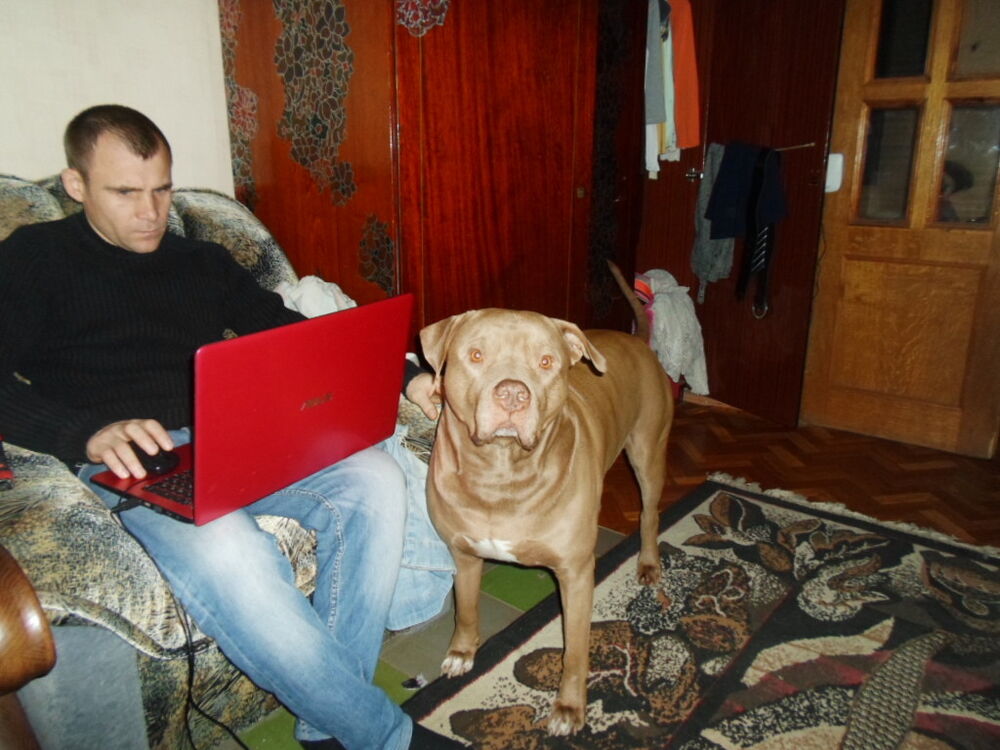  5916747  SAH13, 45 ,    