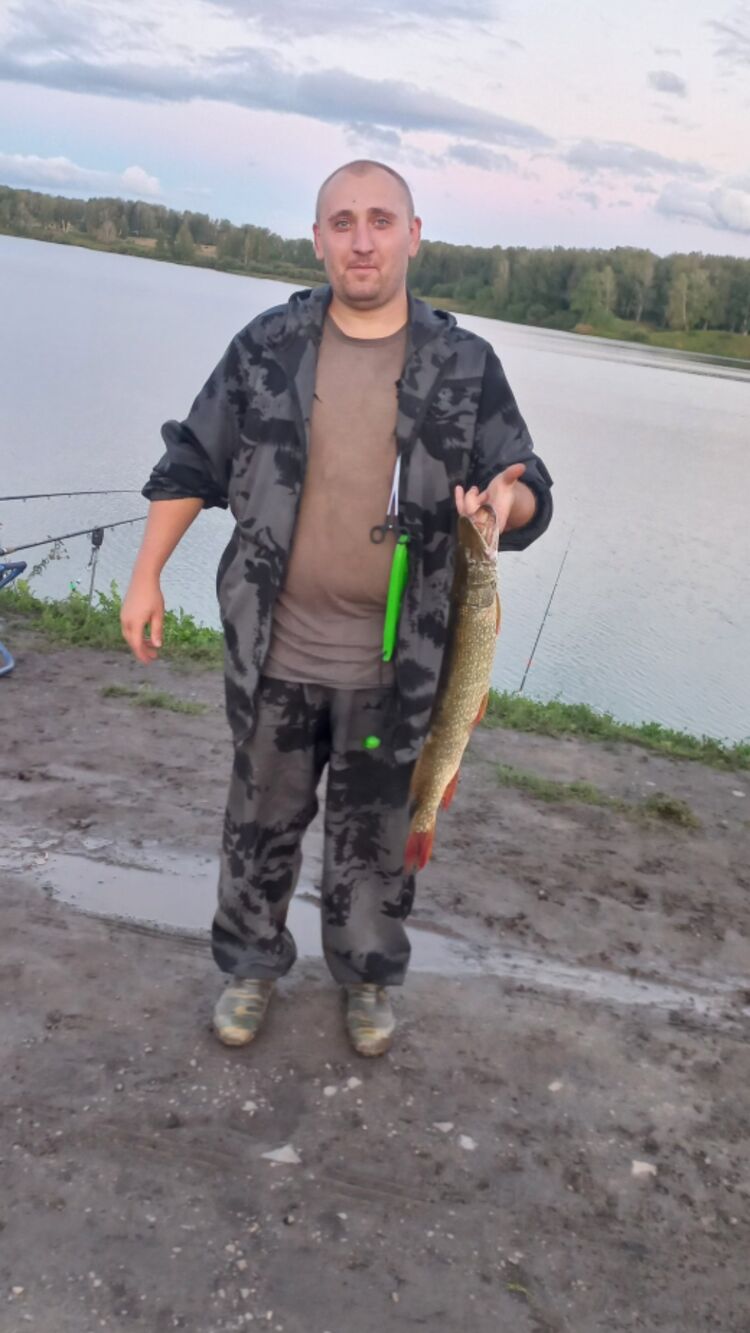 ���� 50690287 ������� ����, 31 ���, ���� ���������� � ��������