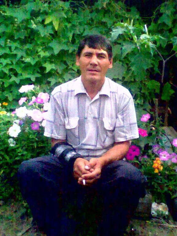  -,   , 54 ,   ,   