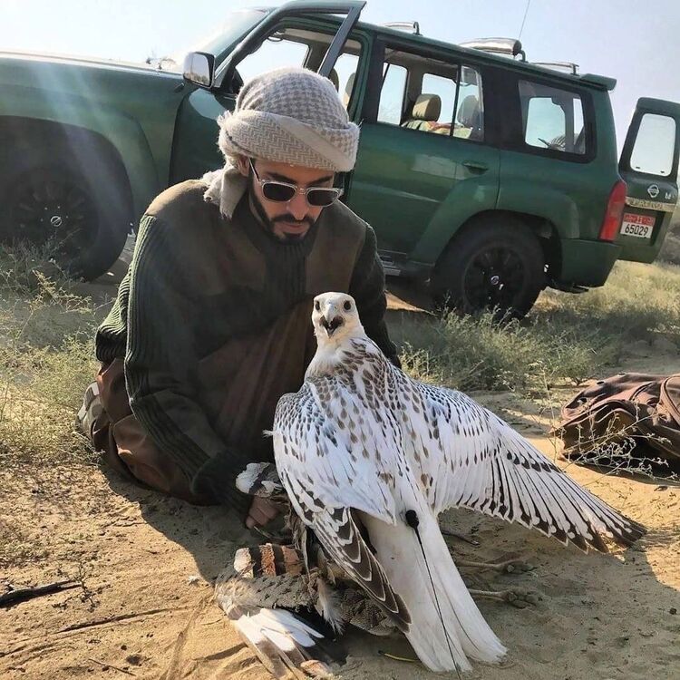 ���� 24549497 ������� �����, 27 ���, ���� ���������� � ������