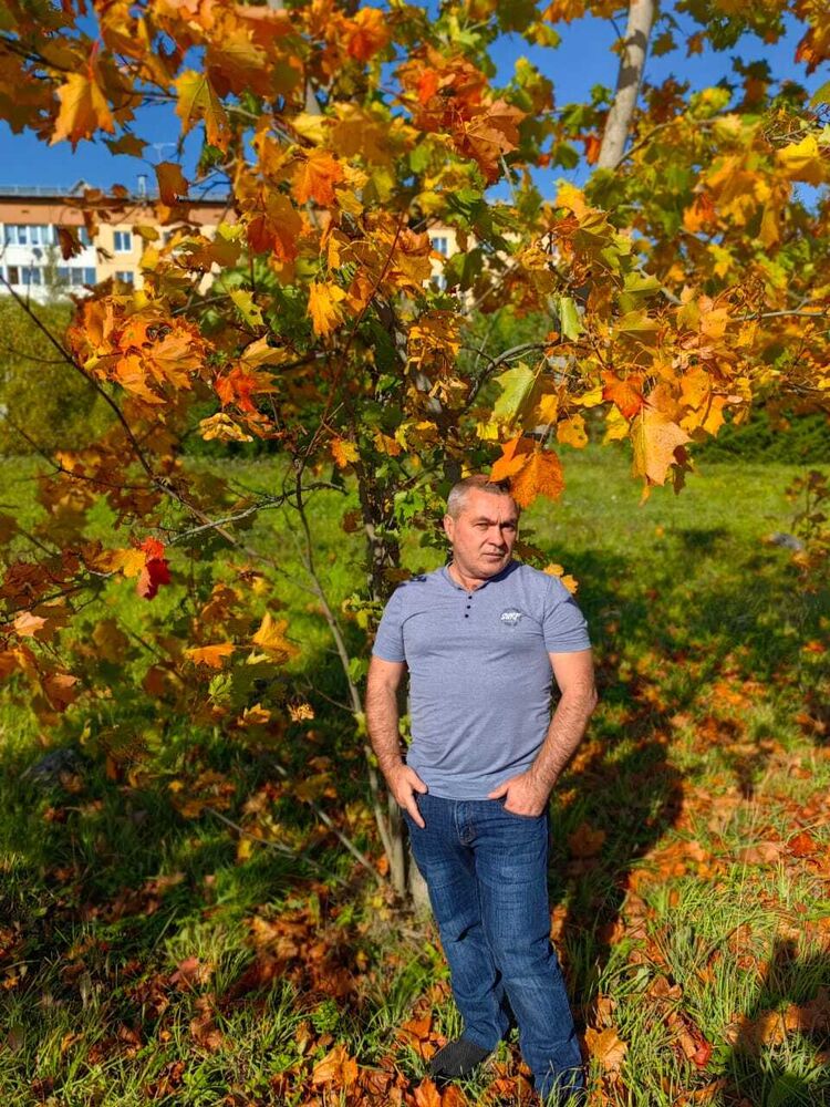  38015177  , 59 ,    -