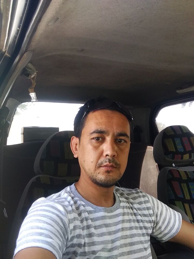  20416027  , 37 ,    