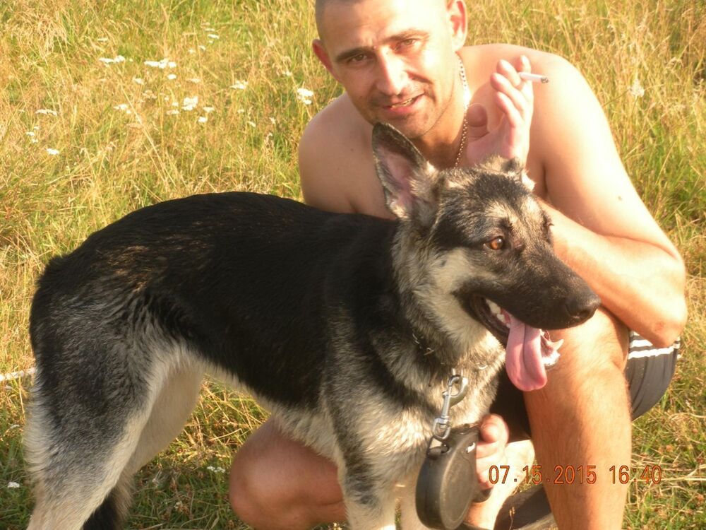 ���������� ������, ���� ������� ������, 41 ���, ������������ ��� ������, ����� � ���������, c�������� ���������