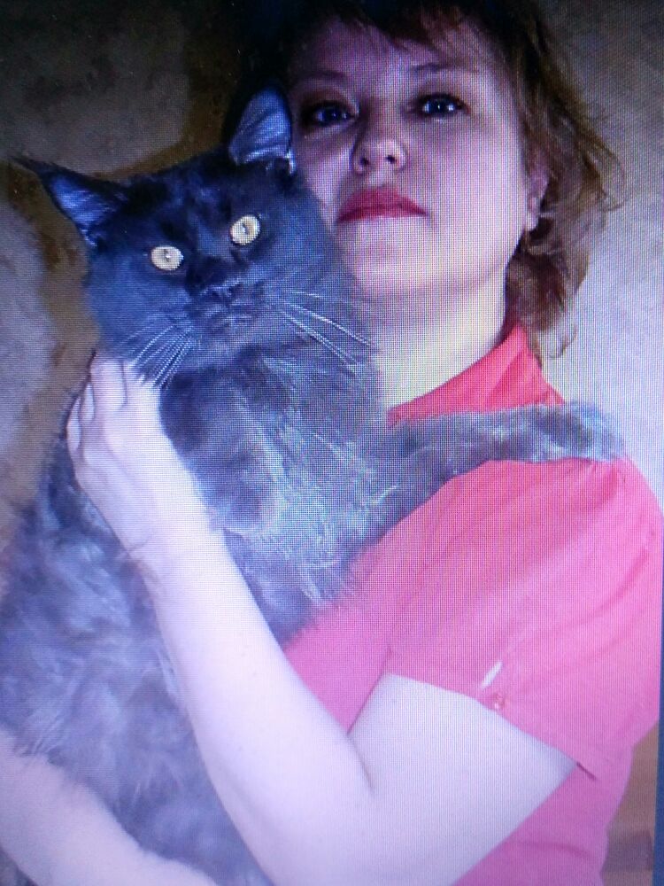 ���� 54676997 ������� ����, 63 ����, ���� ���������� � �����������