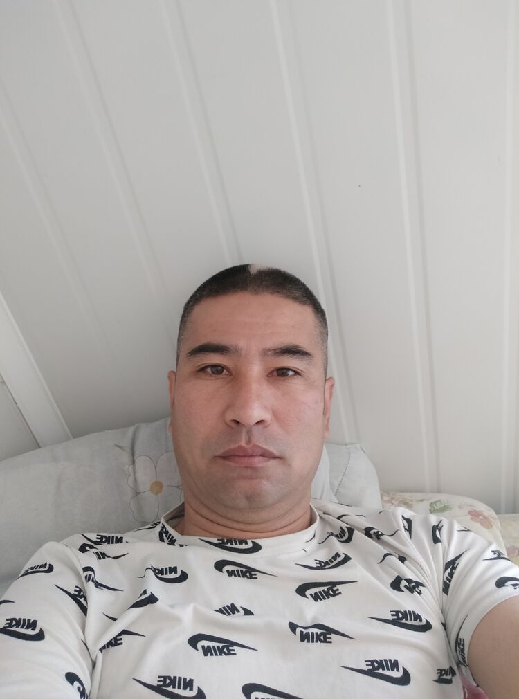  36186997  , 41 ,    