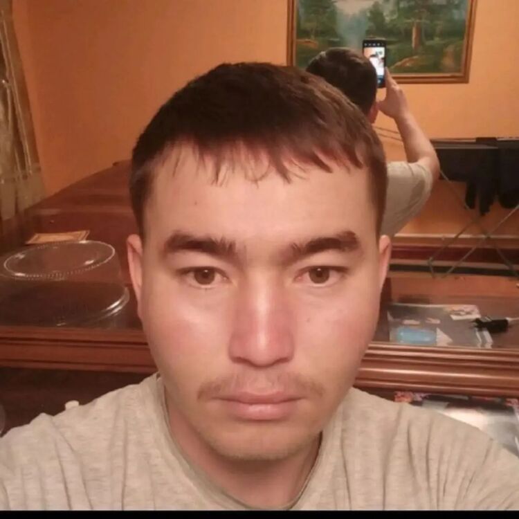  48560557  , 33 ,    