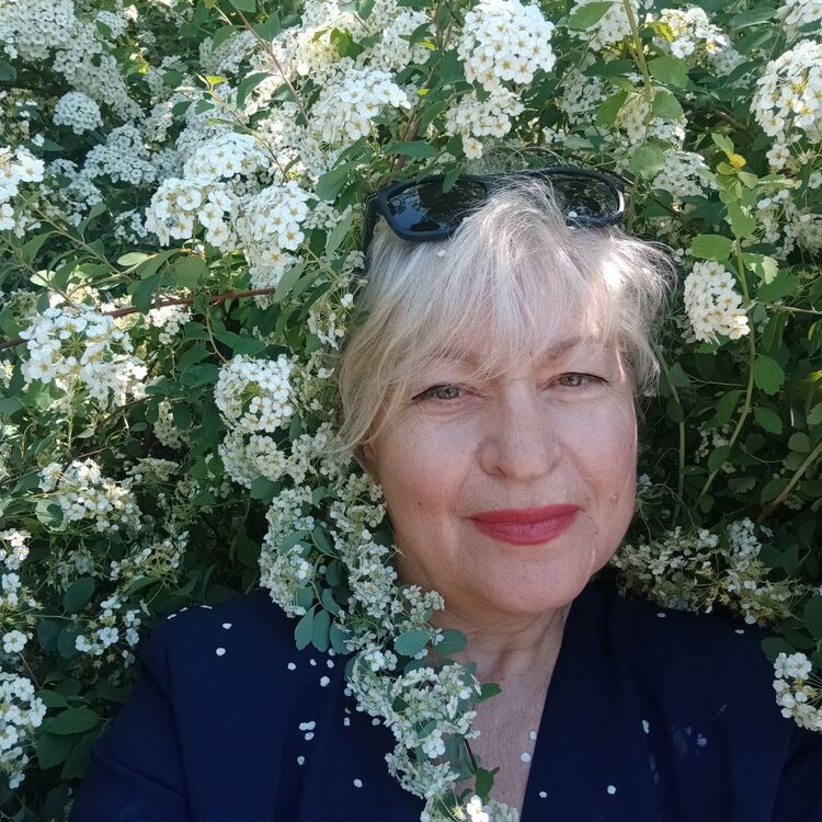 ���� 55950667 ������� �����, 64 ����, ���� ���������� � ������