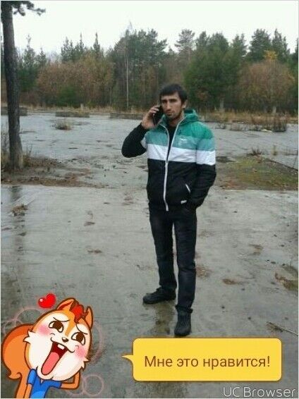  8228987  , 33 ,    