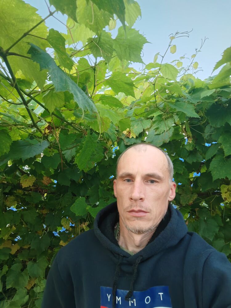  48870467  , 29 ,    