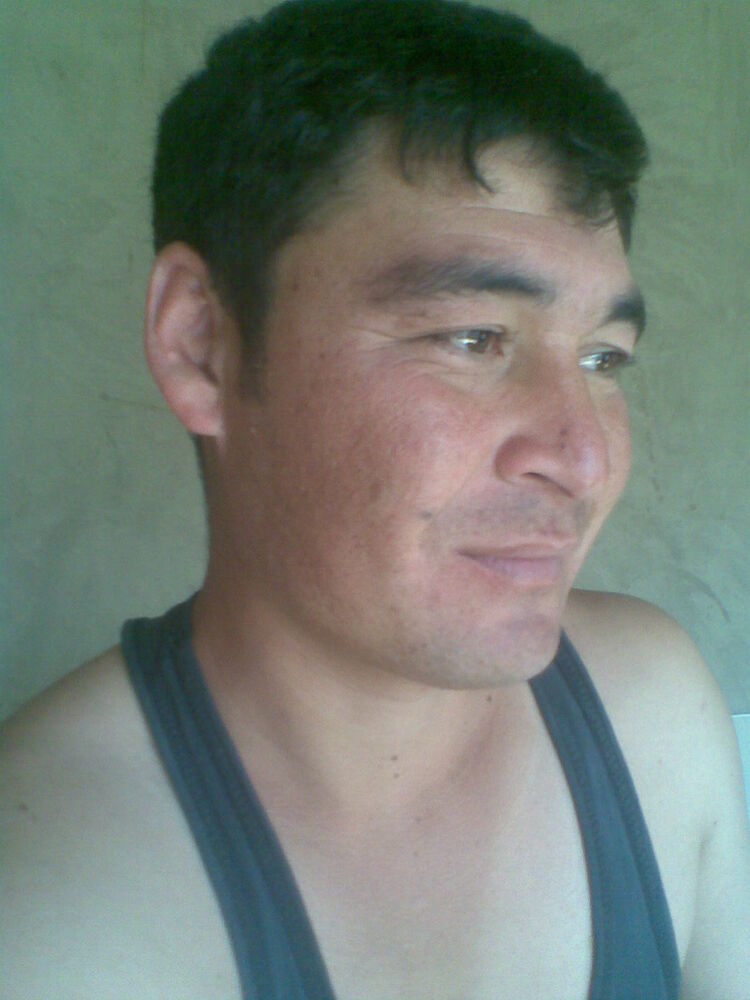  4812587  84, 40 ,    
