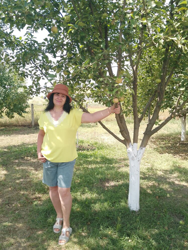 ���������� ������, ���� ������� ������, 59 ���, ������������ ��� c�������� ���������