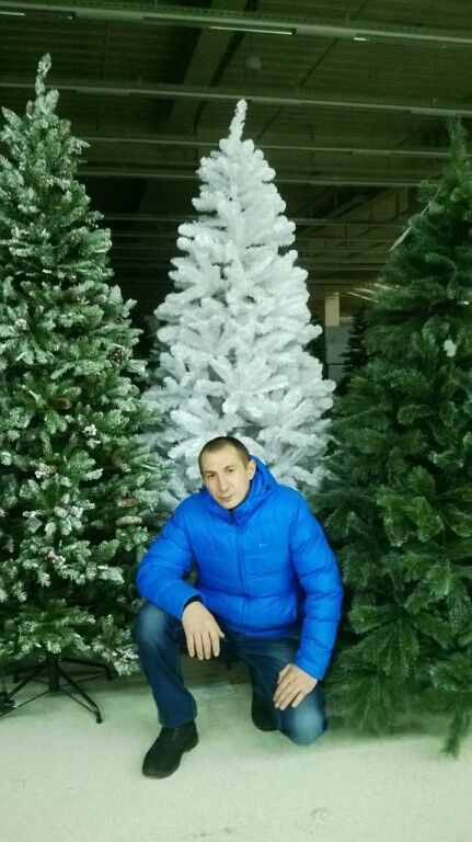 ���� 17654207 ������� �������, 41 ���, ���� ���������� � �������