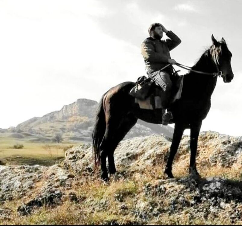 ���� 34633477 ������� ������, 34 ����, ���� ���������� � ����������