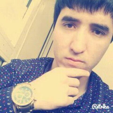  ,   BOBUR, 33 ,   ,   , c , 
