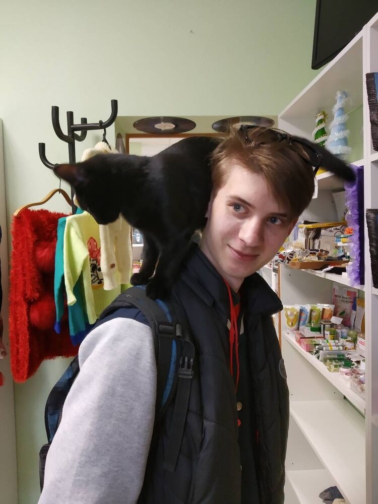 ���� 28235257 ������� �������, 27 ���, ���� ���������� � ������������