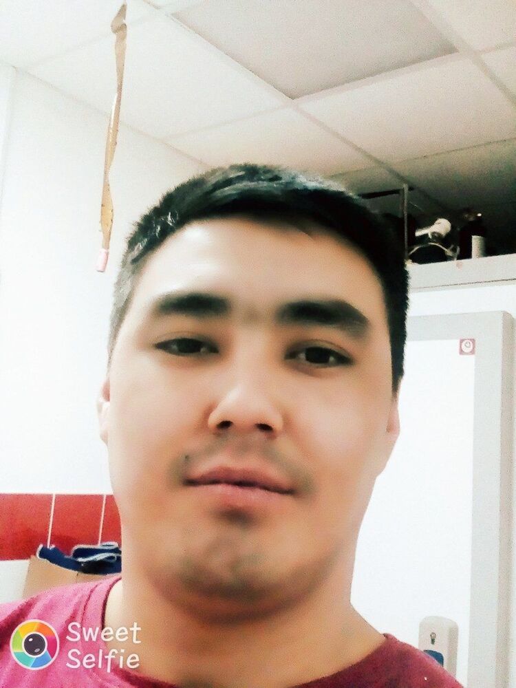 ���� 42202077 ������� Hayot, 33 ����, ���� ���������� � ����������