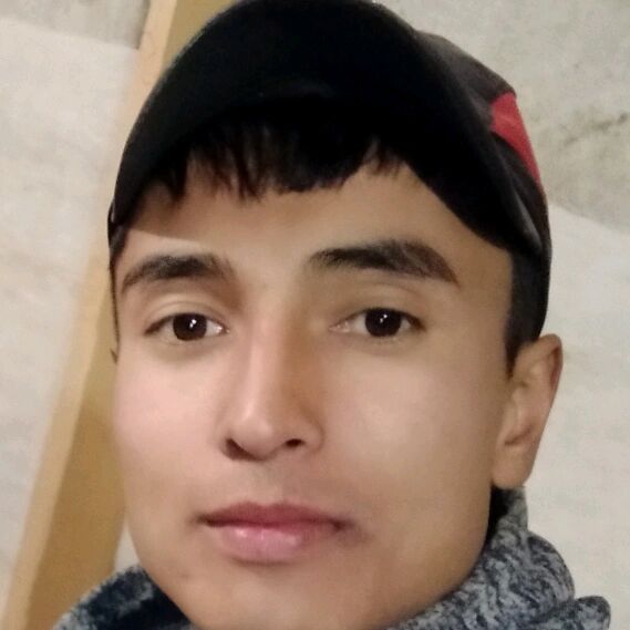  27626027  , 33 ,    -