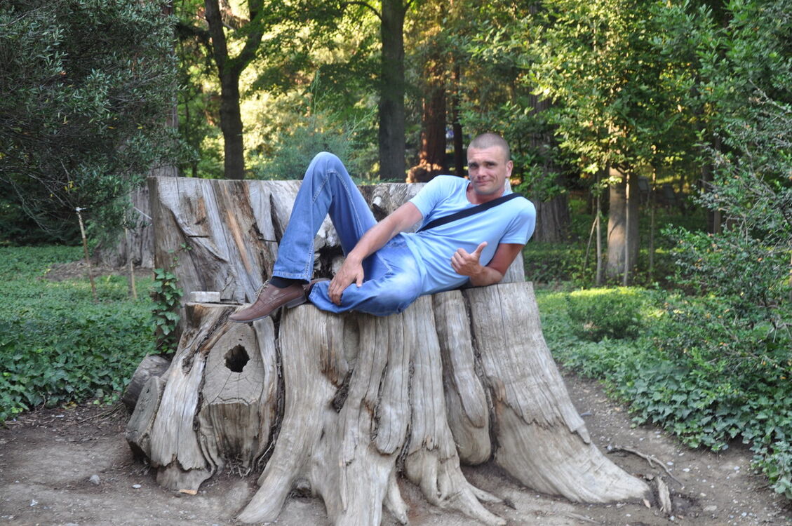 ���������� ��������, ���� ������� �����, 46 ���, ������������ ��� ������