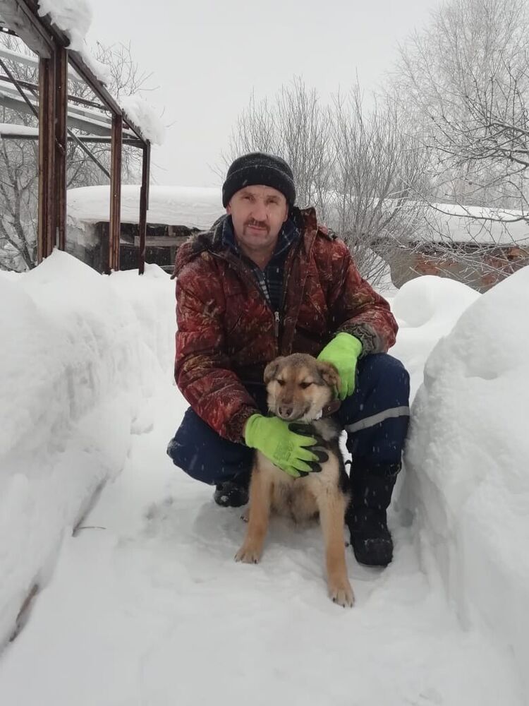 ���������� ����, ���� ������� ���������, 55 ���, ������������ ��� ������, ����� � ���������