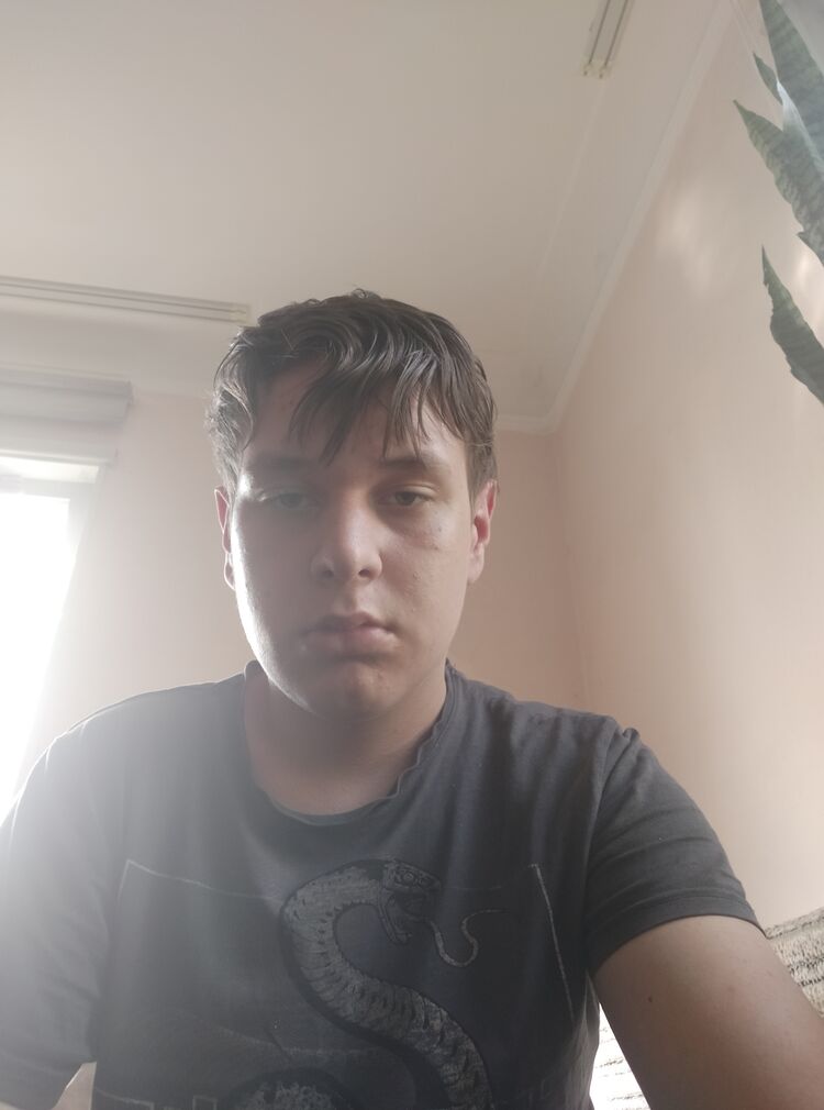  51690137  , 19 ,    
