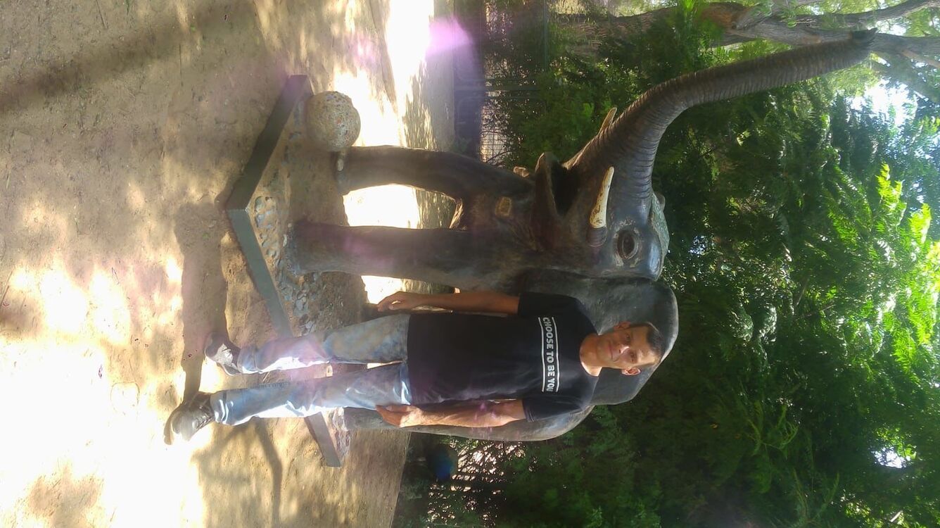 ���� 36184167 ������� �����, 36 ���, ���� ���������� � Sederot