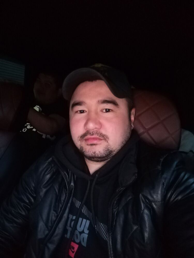  43288597  , 33 ,    -