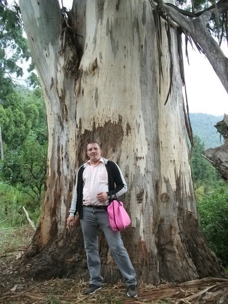 ���������� ���������, ���� ������� �������, 46 ���, ������������ ��� ������, ����� � ���������, c�������� ���������