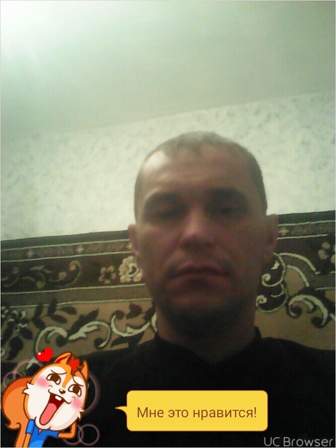  8347417  , 44 ,    