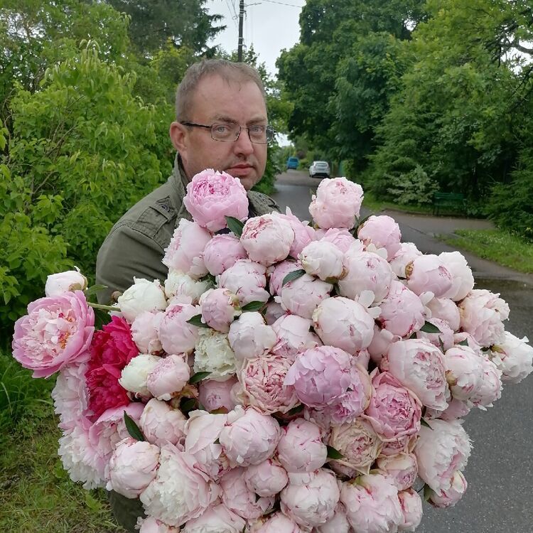 ���� 52397287 ������� �������, 51 ���, ���� ���������� � �����-����������