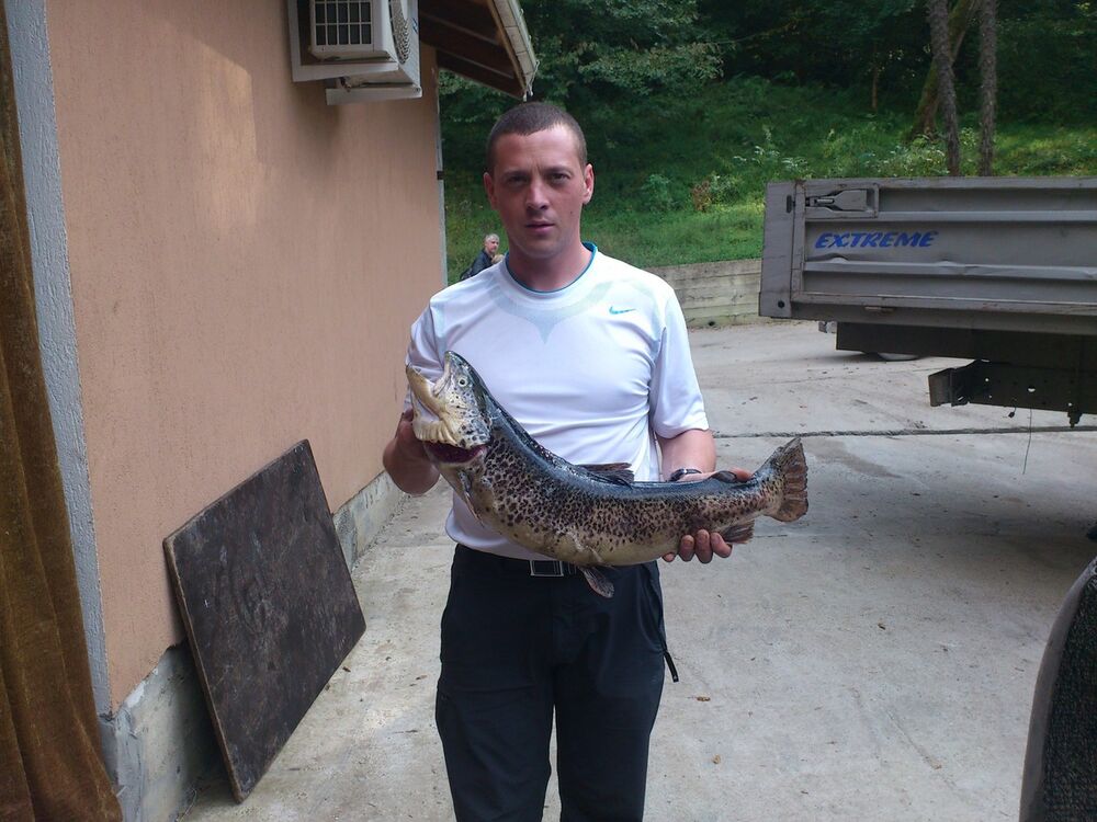 ���������� ��������, ���� ������� ���������, 39 ���, ������������ ��� ������, ����� � ���������, c�������� ���������