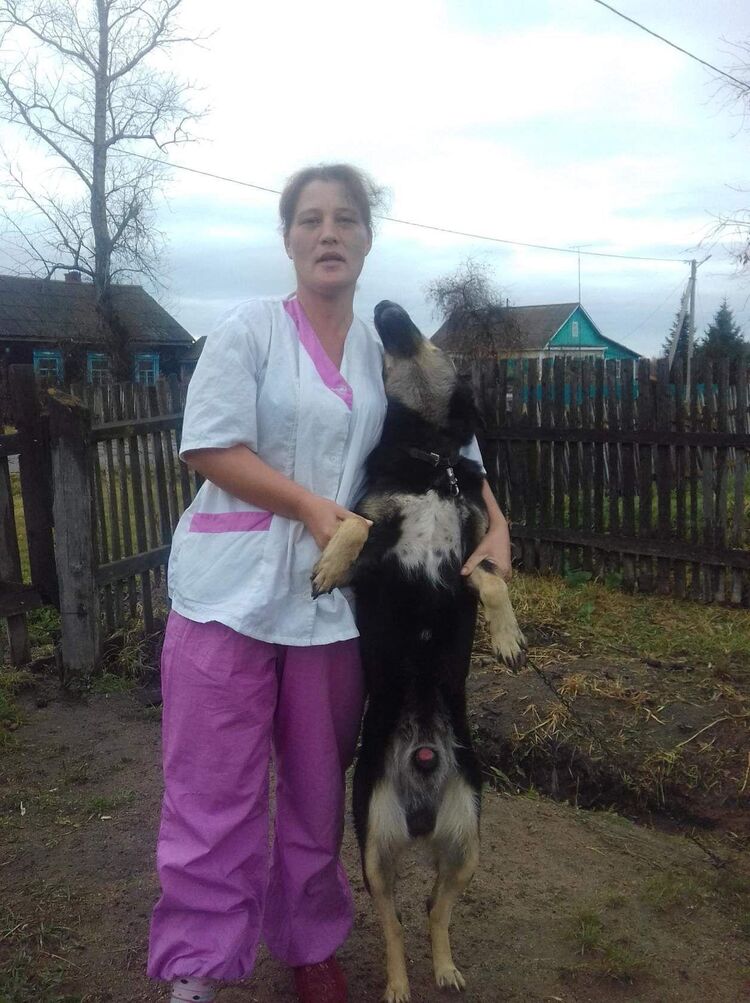 ���������� ����, ���� ������� ������, 41 ���, ������������ ��� ������, ����� � ���������