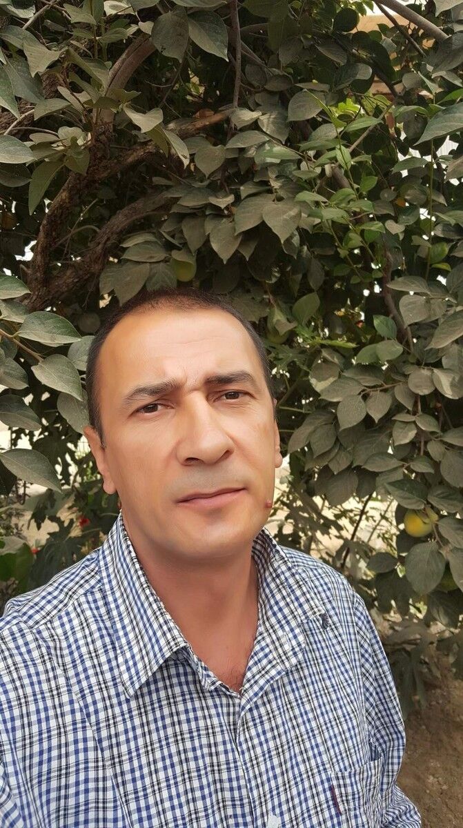  17035597  , 50 ,    
