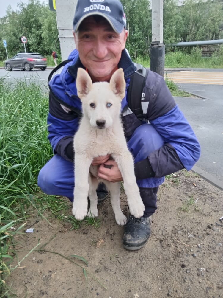 ���� 48716497 ������� �������, 41 ���, ���� ���������� � ������������