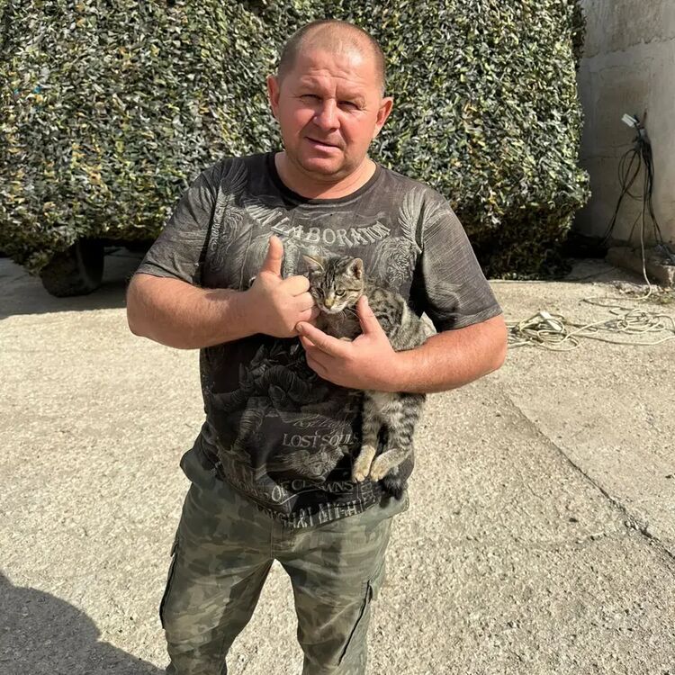 ���������� ���������, ���� ������� �������, 46 ���, ������������ ��� ������, ����� � ���������