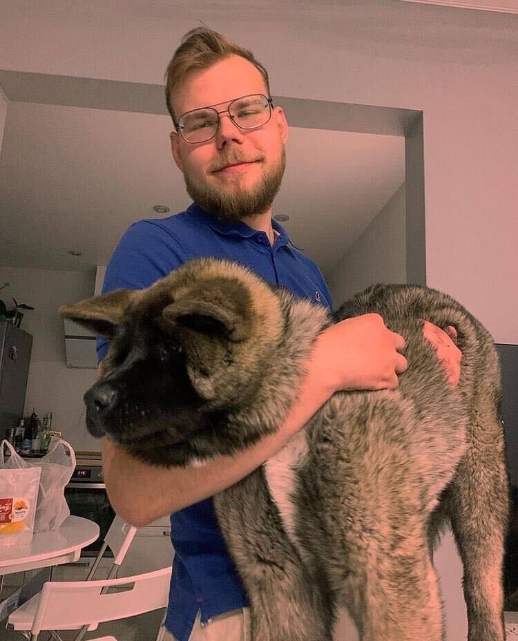 ���� 28833497 ������� ������, 26 ���, ���� ���������� � ������